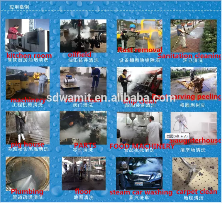 Outside Home Use 17BAR Steam High Pressure Cleaner machine Surface cleaning