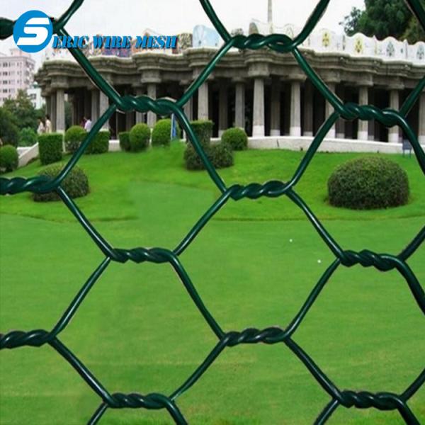Hot Dipped Chicken Wire mesh/gabion hexagonal wire mesh/hexagonal wire mesh