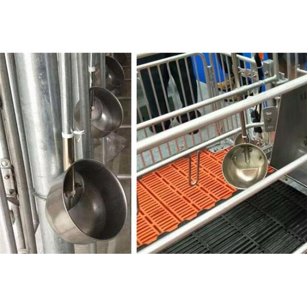Stainless Steel Hog Waterer Pig Feeders and Drinkers Pig Water Drinkers