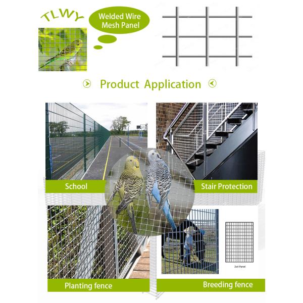 1/6 12 gauge galvanized wire mesh welding roll top fencing 10x10 PVC welded wire mesh size fence