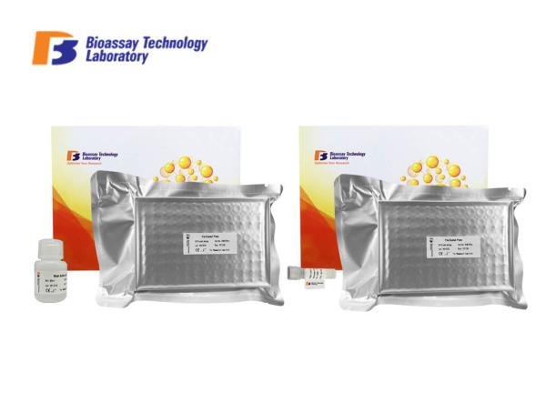 OXTR Sandwich Enzyme Linked Immunosorbent Assay Test Kit For Research
