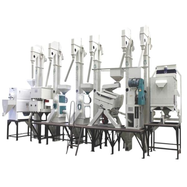 Local Service Location 4 Rice Milling 1 Ton Per Hour 3 in 1 Mini Rice Peeling