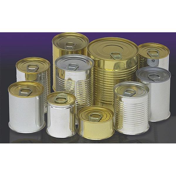 T4 MR Grade Electrolytic Tinplate Coils with BA/CA Temper for Food and Aerosol Can Manufacturing