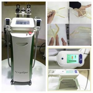 China multi-polar RF cryolipolysis slimming machine fat freezing cryolipolysis machine wholesale