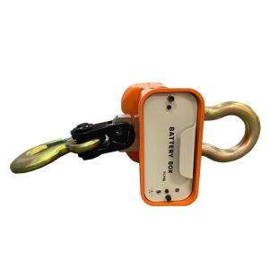 China Overload Alarm 15t Electronic Crane Scale For Logistics wholesale