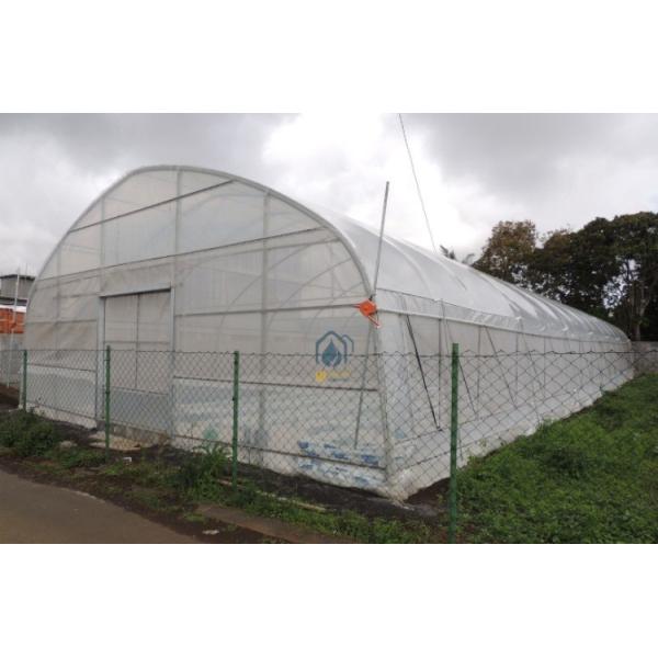 Single Span Tunnel Greenhouse