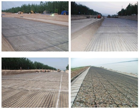 Chinese Geogrid Supplier Easy To Construct Plastic Geogrid For Slope Protection Plastic Grid Gravel Driveway