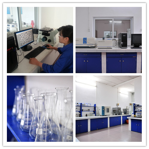 High Density HVOF Thermal Spray Powders Tungsten Carbide –17% Cobalt Materials