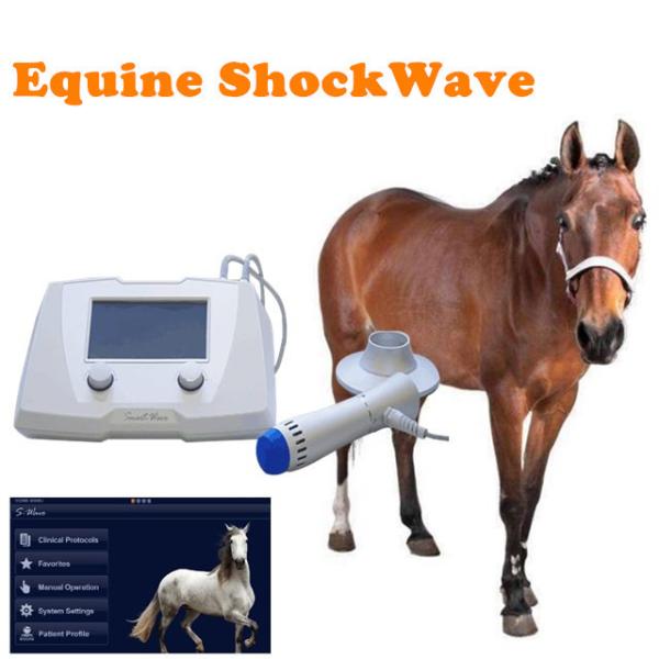 High Intensity Equine Extracorporeal Shock Wave Therapy Machine For Horse