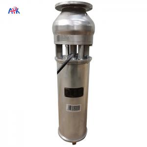 China 100m3/H Stainless Steel Fountain Pump Fountain Garden Project wholesale