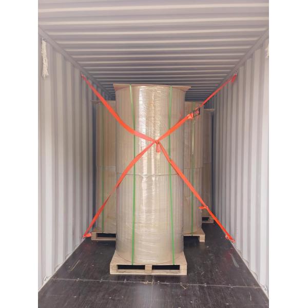 FOCUS Thermal Printer Paper / Thermal Register Rolls Image Blue And Black