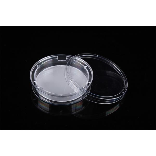 Cell Insert Multiple Well Plate 24mm PCR Laboratory