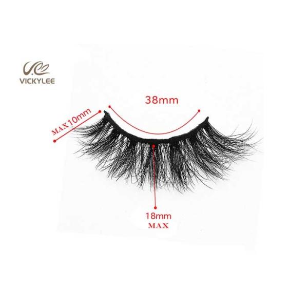 Reusable 10 Times Wispy 15MM 3D Volume Lashes