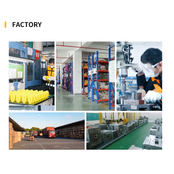 Personalized Custom Dog Cat Harness Sets Adjustable No Pull Luxury Designer Collar and Leash Set with Custom Colors