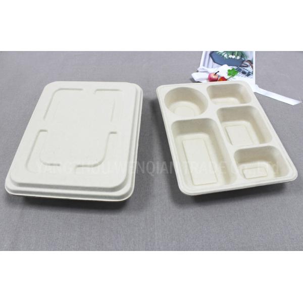 5 Compartments Unbleached Bagasse Tray-China Factory Offer Eco-friendly Fast Food Box Container Tray for Hot Foods