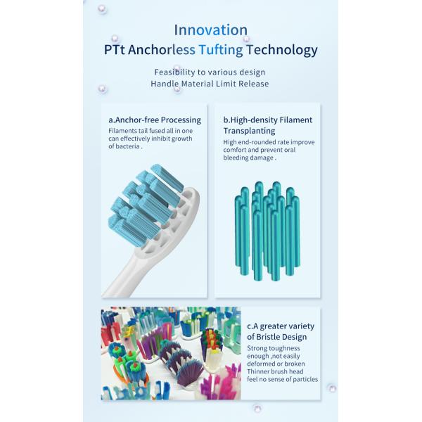 Customized Copper Free Soft Bristle Toothbrush Heads Electric Toothbrush Tops HX924-X