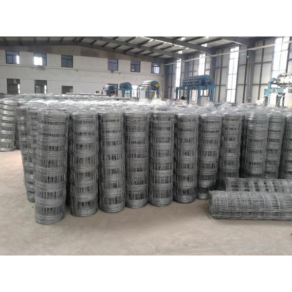 Mesh Size 0.5CM PVC Coating 2x2 Welded Wire Mesh Fence Panels For Building Agriculture