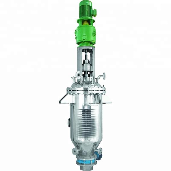 Semi-Automatic Oil Bleaching Pressure Leaf Filter 12m2 2-4T/H