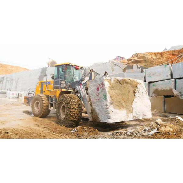 LW600KN-T25 XCMG 25 Ton Tractor Forklift Machinery