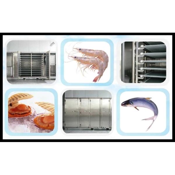 IQF Blast Freezer Hydraulic Quick Freezer for Shrimp Fish