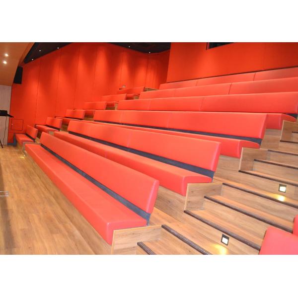 Pratically Upholstered Retractable Theater Seating Optional Backrest With Strong