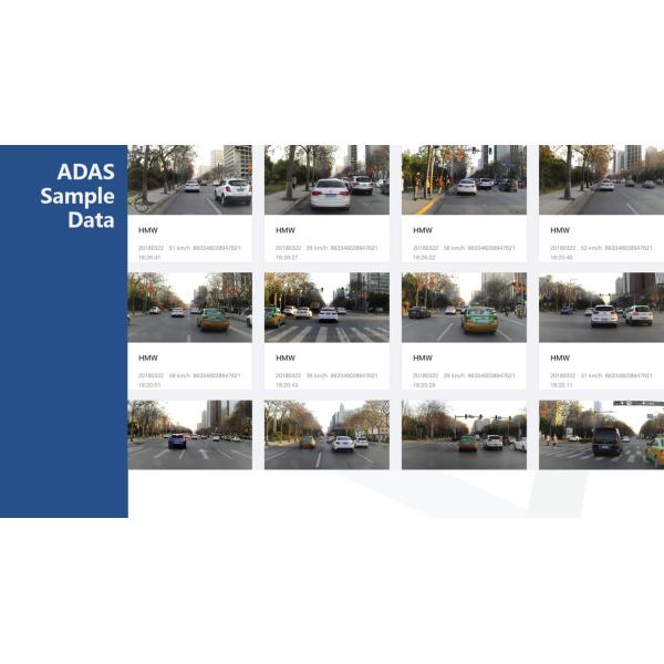 DSM Driver Fatigue System / ADAS Camera Systems MDVR 4G Transmission