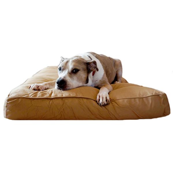 Memory Foam Chew Resistant Dog Bed , 52 * 34 * 5mm Anti Chew Dog Bed Removable