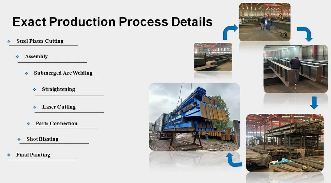 Hot DIP Galvanizing Light Metal Frame Prefab Farm Animal Poultry Shed