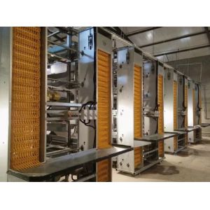 Steel Structure Chicken Poultry House Chicken Farm Broiler Chicken House