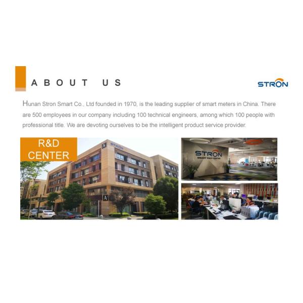 Multifunctional STW36-M 50-Caliber Waltman Prepaid Bulk Water Meter IP68 Protection for Various Scenarios