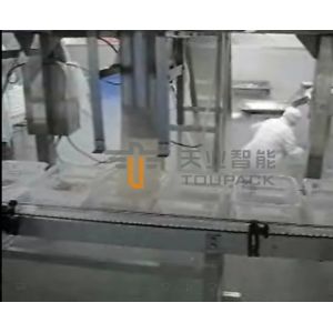 SUS 304 Frozen Food Packing Machine Auto Weighing System CE Certificate