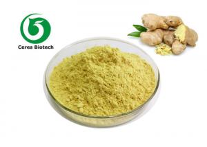 China Pure Natural Water-Soluble Pharm Grade Ginger Extract Powder Gingerols 1% 5% 10% on sale