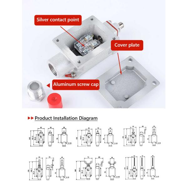 ATEX Explosion Proof Roller-type Travel Switch Zone 1 Zone 2