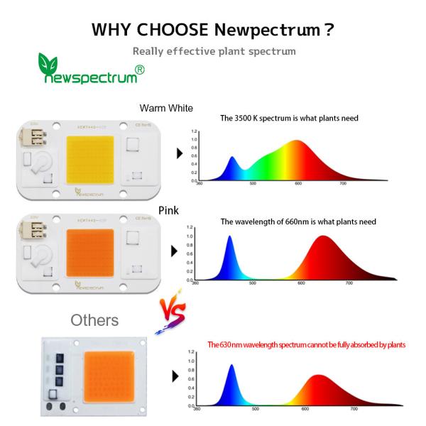 Solderless Cob Driver Led Chip Cold White 30w Led Module For DIY Floodlights