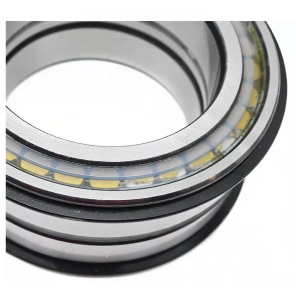 Double Row Roller Bearing NNF 5007 ADB-2LSV SL04 5008 PP SL04 5009 PP