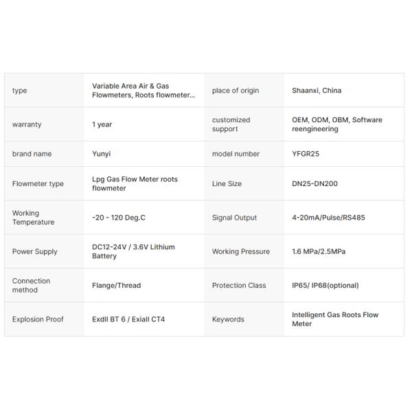 OEM Customizable Roots Flowmeter for Yunyi Smart Intelligent Digital LPG and Natural Gas Measurement