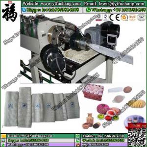 China EPE fruit packing foam sleeve mesh Extruder LDPE polyethylene Foam Net Extruder wholesale
