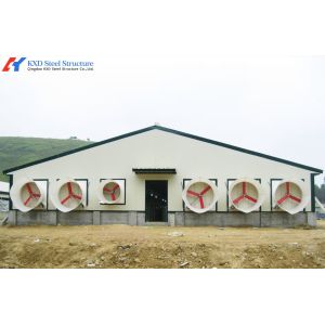 China Steel Structure Broiler Chicken House with Automated Feeding System wholesale