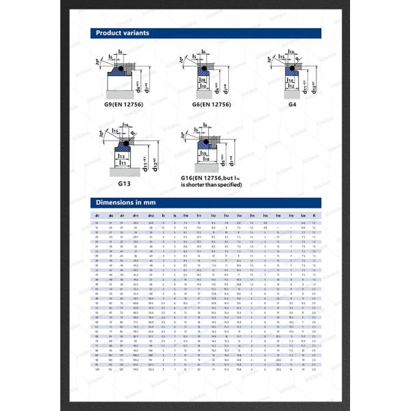 M7N M74 14mm-200mm G60 G4 G6 G9 G13 G16 BS Bo BP Pump Mechanical Seal