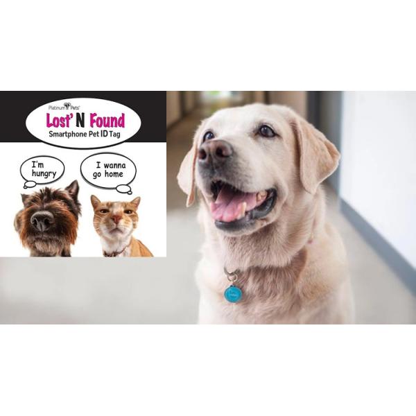 QR Code RFID Dog Tag NFC For Pet Anti Lost 213 Epoxy Waterproof