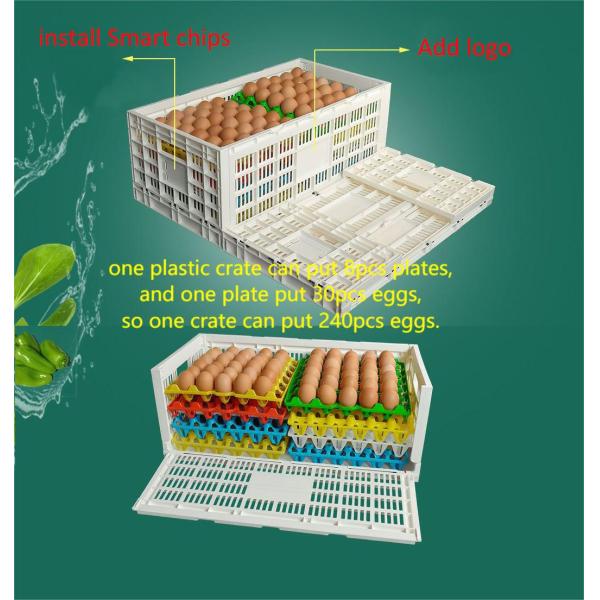 Foldable PP PE Mesh Egg Crate Storage Boxes in Variety Color for Agricultural Harvest