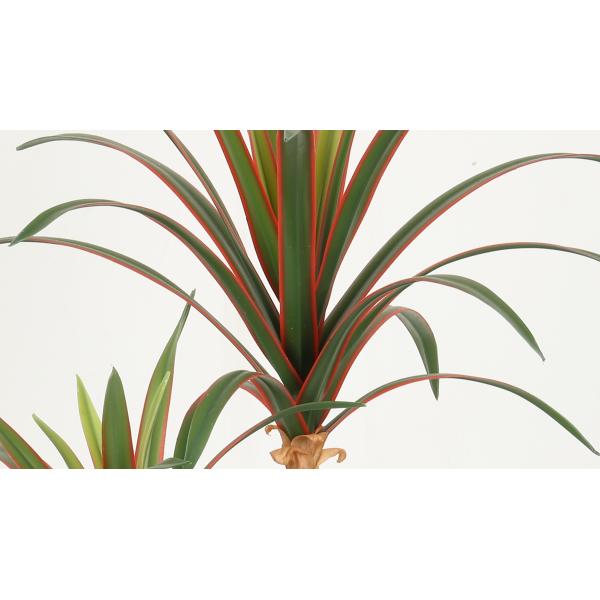 Red Side Dracaena Artificial Bonsai Tree For Indoor Decoration 38 CM 50 CM 68 CM