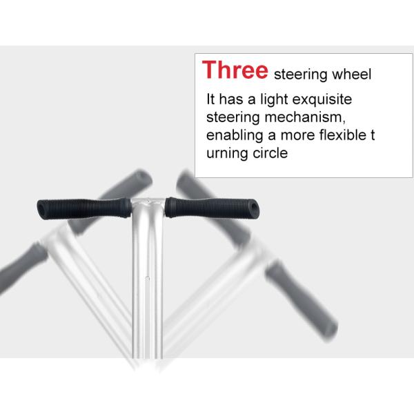 72V 8.8Ah Stand Up Electric Scooter Li-ion Double Battery Balance Scooter