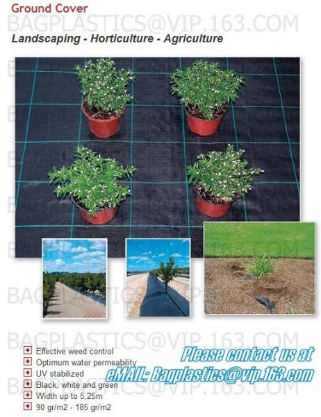 Sponge matrix soil,tree flower,irrigation sets,mini wall garden,horticultural plant,inserted rotation small irrigations