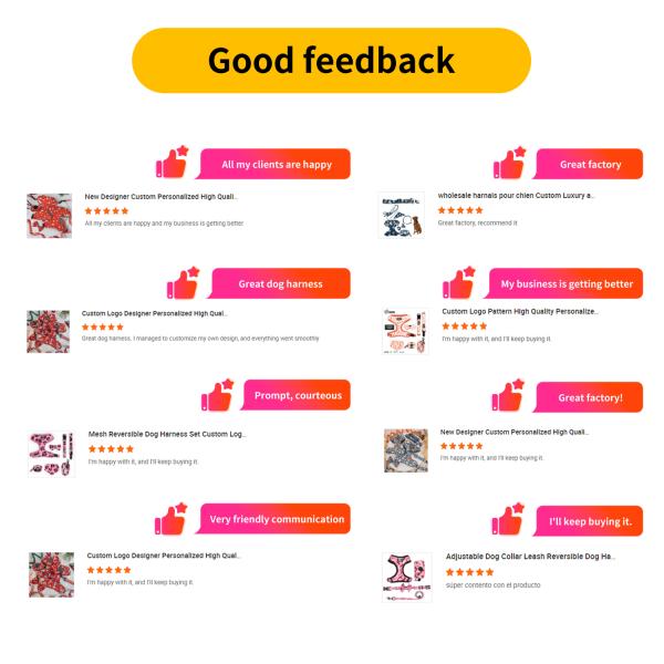 Personalized Custom Dog Cat Harness Sets Adjustable No Pull Luxury Designer Collar and Leash Set with Custom Colors