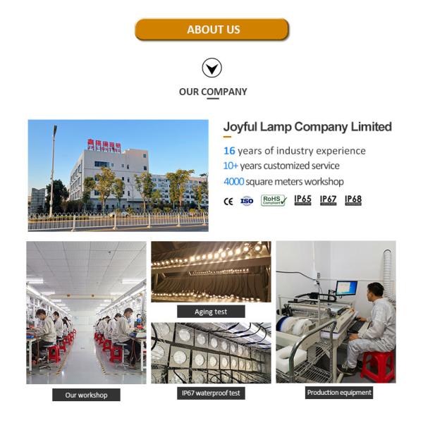 12W 16W Stainless Steel Fountain Light Waterproof Underwater LED Pool Lights IP68