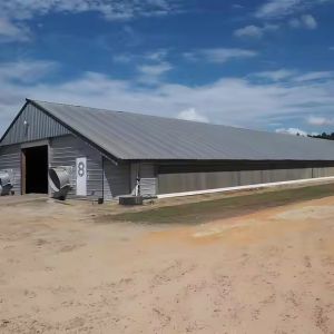 China Prefab Steel Structure Chicken House Building , Light Steel Fabricated Building wholesale
