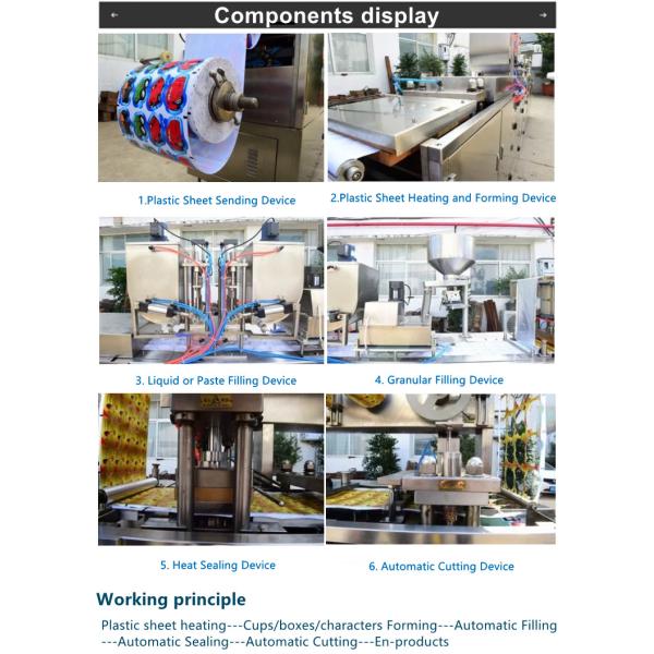 Blister Seal Automatic Packing Machine Egg Making Machine 380V 50HZ