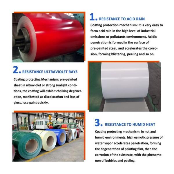Long Lifespan Ppgi Color Coated Coil With Protective Pvc Film