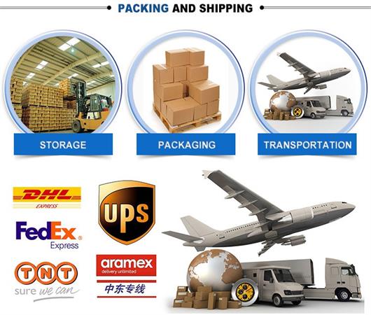 5V 12V 60mm DC Brushless Computer Cooling Fann 4000RPM Speed With FG PWM